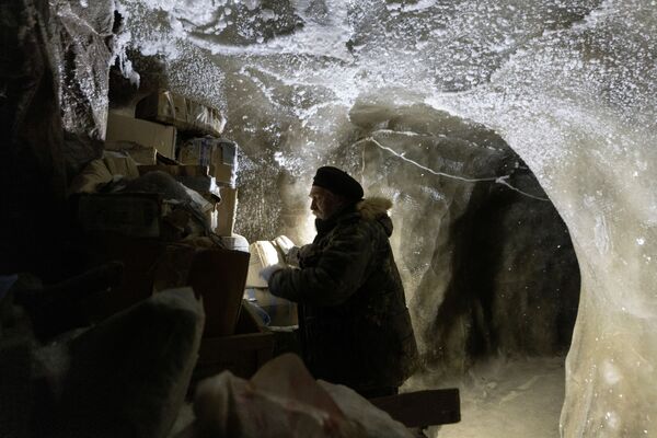 Сергей Зимов проверяет материалы, хранящиеся под землей в вечной мерзлоте в плейстоценовом парке в Якутии - Sputnik Казахстан