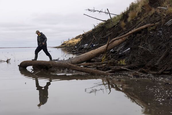 Никита Зимов, директор плейстоценового парка, идет по берегу реки Колымы в Дуванном Яру, Якутия - Sputnik Казахстан