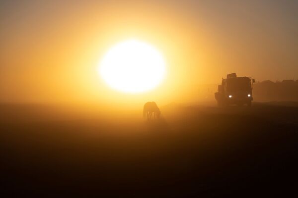 Лошадь пасется у федеральной трассы Колыма в районе села Нуорагана в Республике Саха, Россия - Sputnik Казахстан