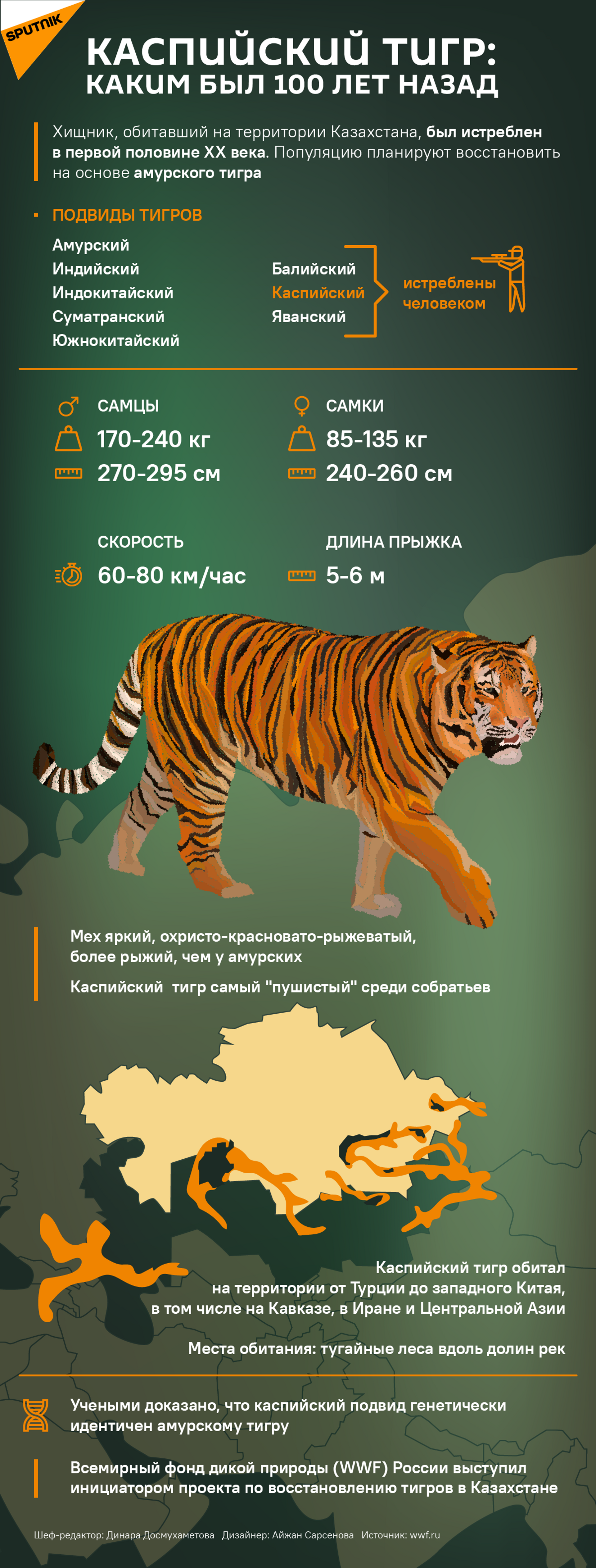 Откуда в Казахстане возьмут туранских тигров, если они все истреблены - Sputnik Казахстан, 1920, 01.10.2021