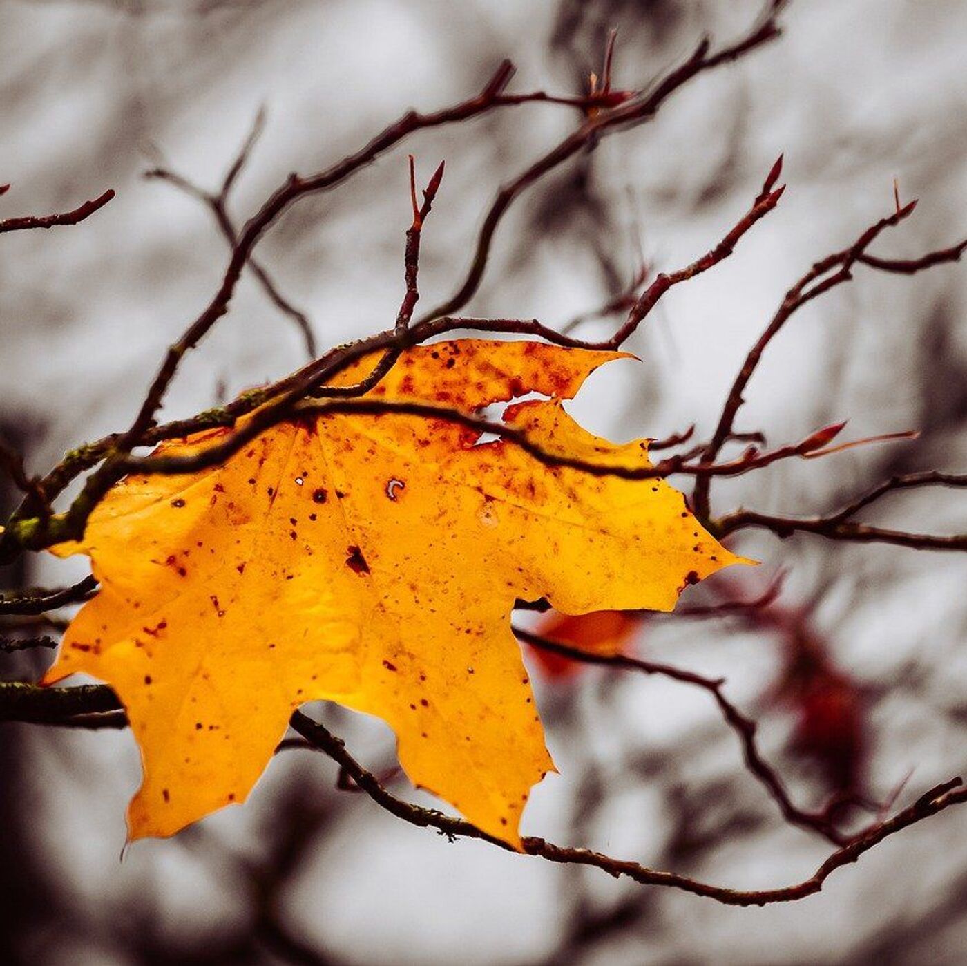 Медитация для снятия стресса