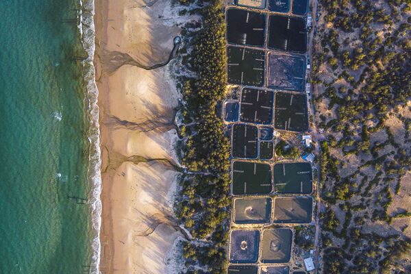 Снимок Marine pollution from aquaculture (2020 г.) фотографа Nguyen Duy Sinh, ставший финалистом в конкурсе The Environmental Photographer of the Year 2021 - Sputnik Казахстан