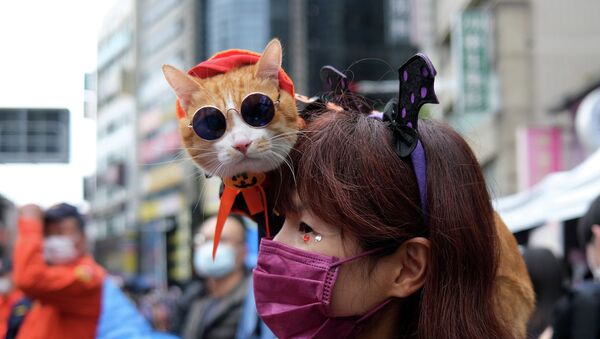 Женщина несет кота на плече по улице - Sputnik Қазақстан