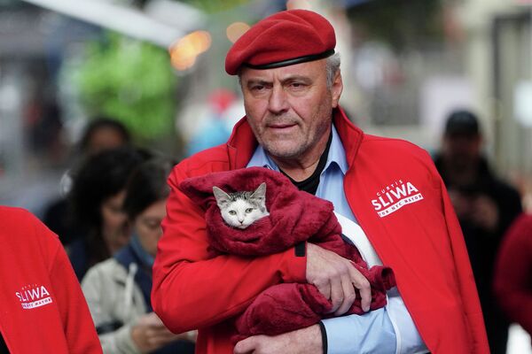 Один из кандидатов в мэры Нью-Йорка пришел на голосование со своим котом - Sputnik Казахстан