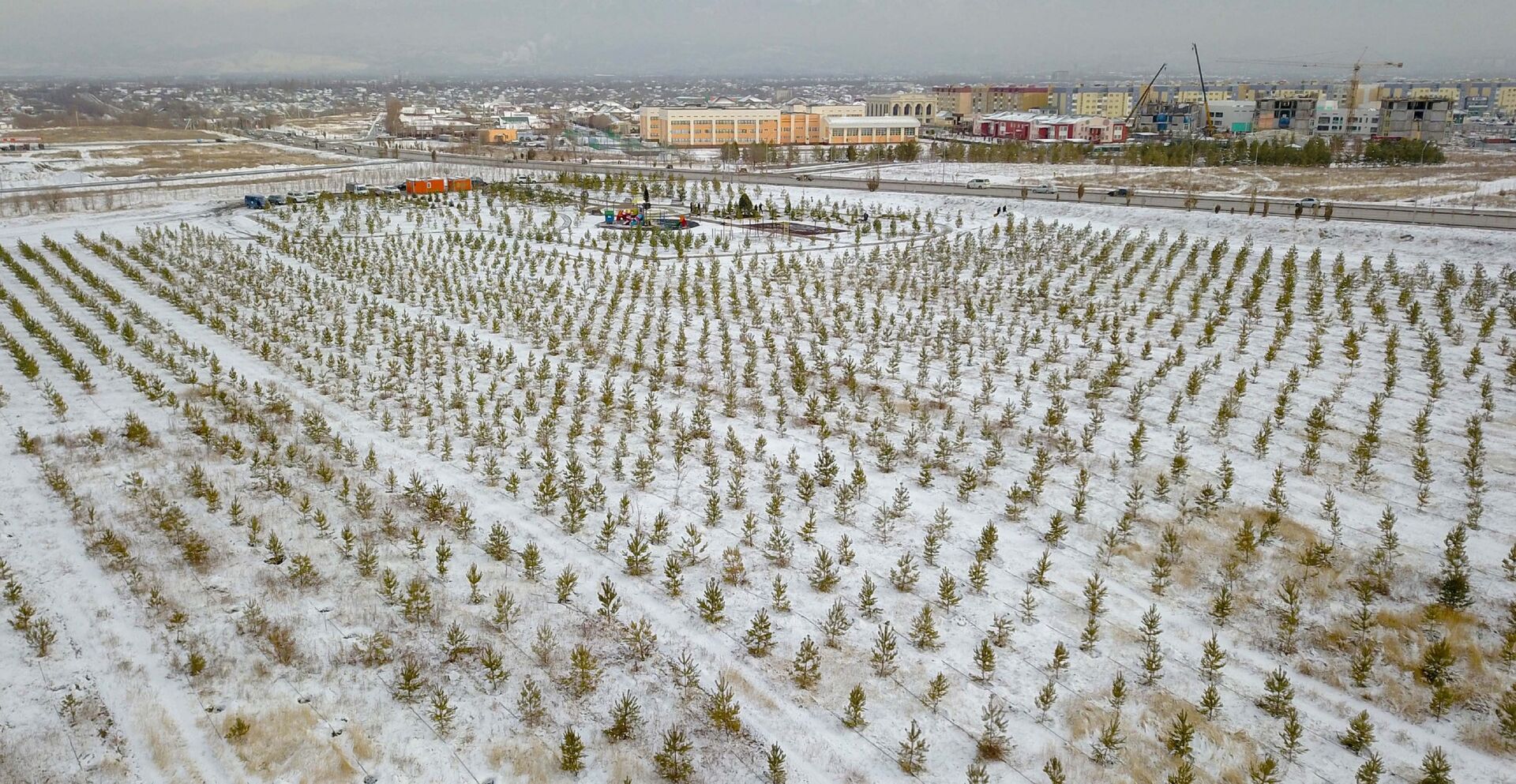 Токаев: посадка деревьев – это признак высокой культуры - Sputnik Казахстан, 1920, 19.11.2021