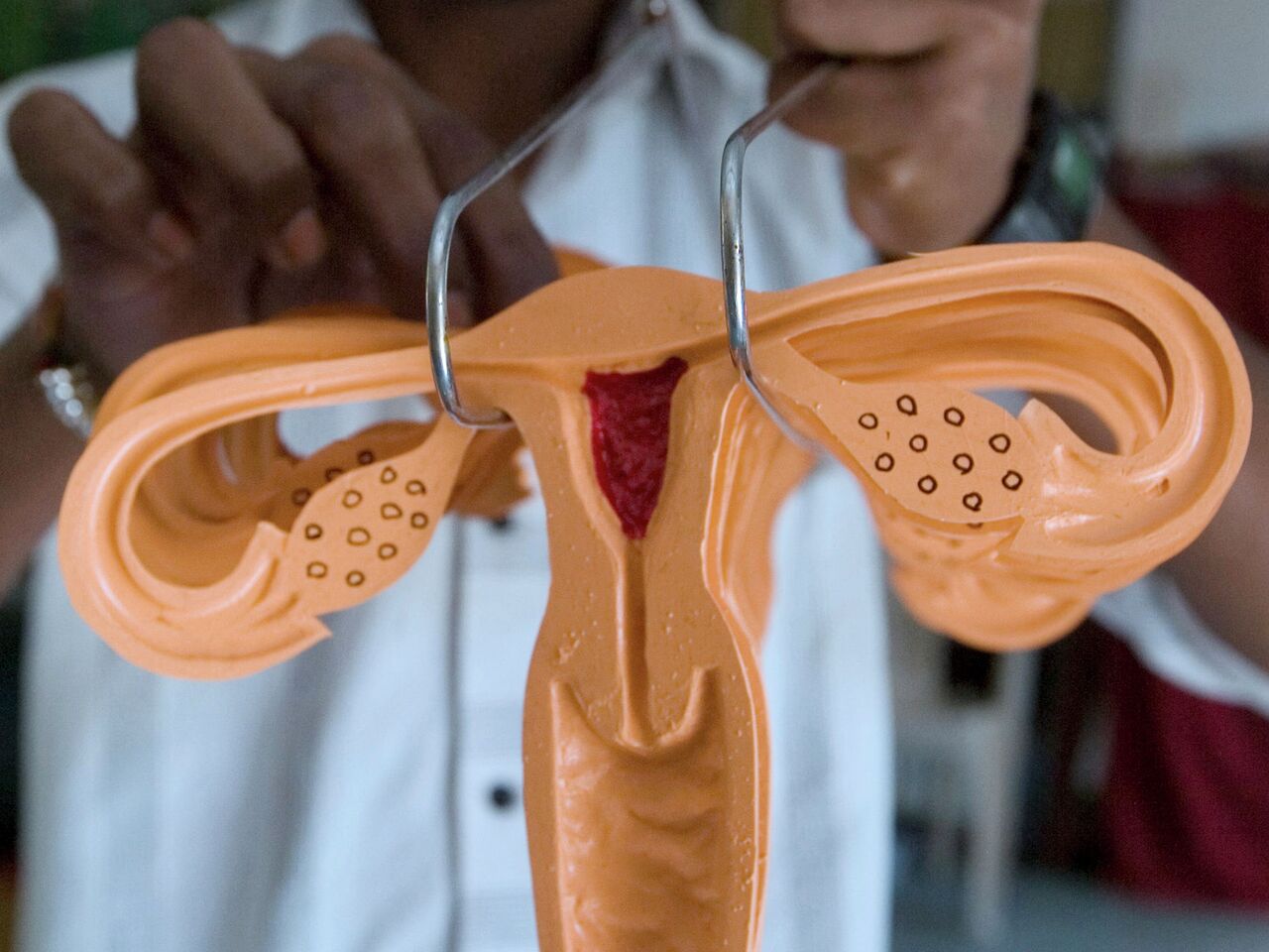 Орыс кискасын жалау жеке видео