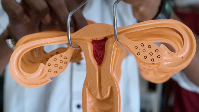 Үштік лесбиянки бар секс