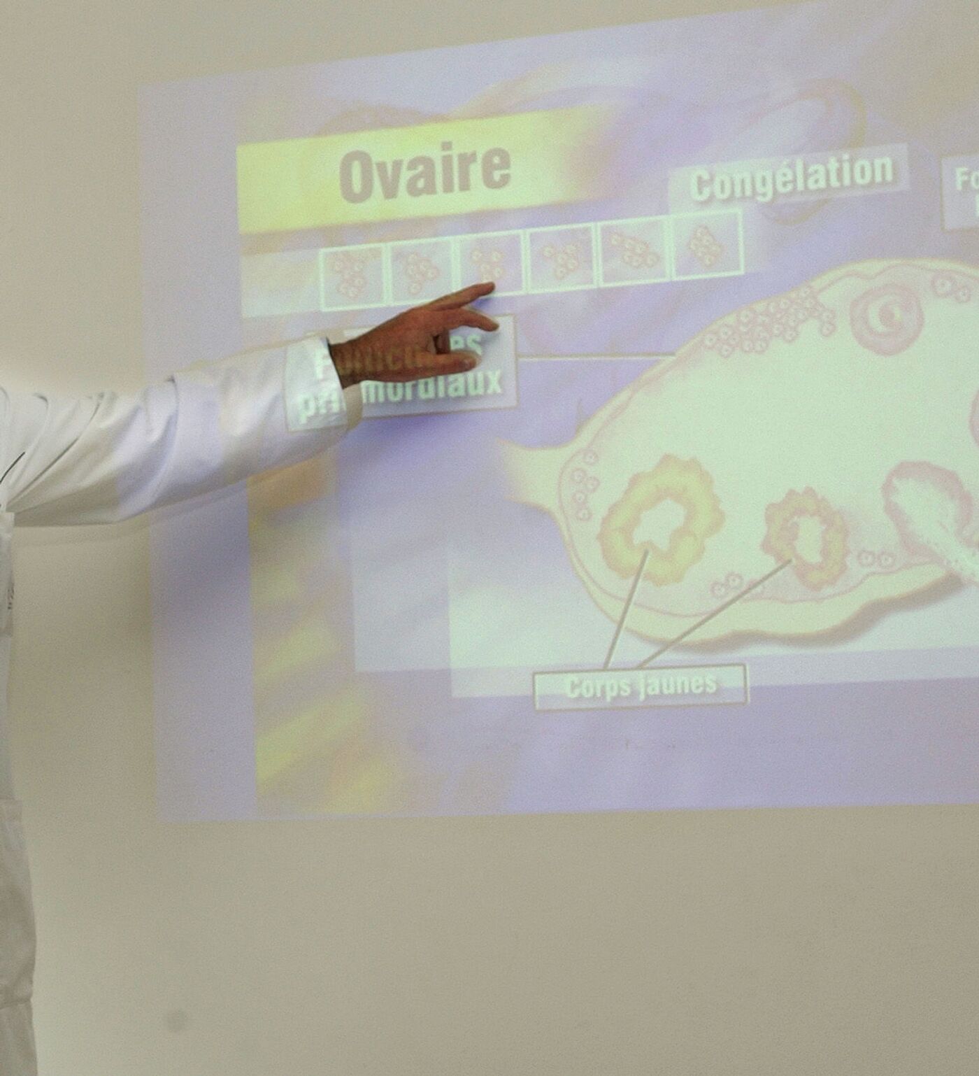 Интернеттегі порно видеолар қыздардың қышуы Порнодағы Винница