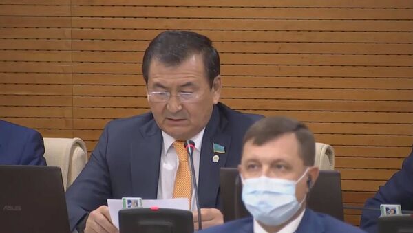 Депутат мажилиса парламента Дюсенбай Турганов - Sputnik Казахстан