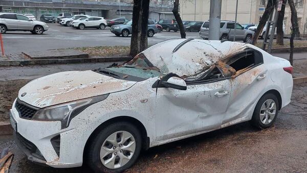 Дерево упало на автомобиль - Sputnik Казахстан