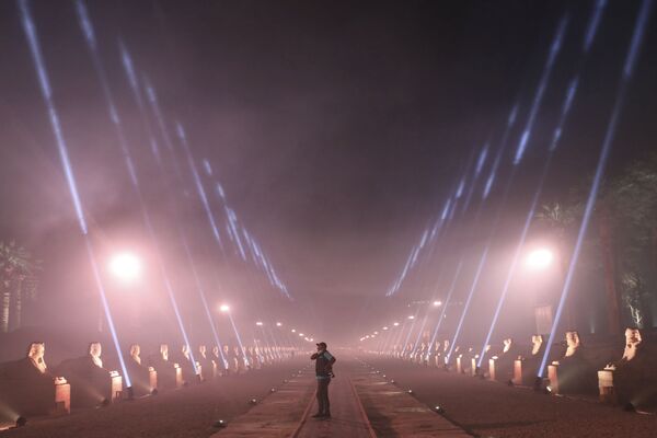 Фотограф на древней Аллее сфинксов в Луксоре после официальной церемонии открытия - Sputnik Казахстан