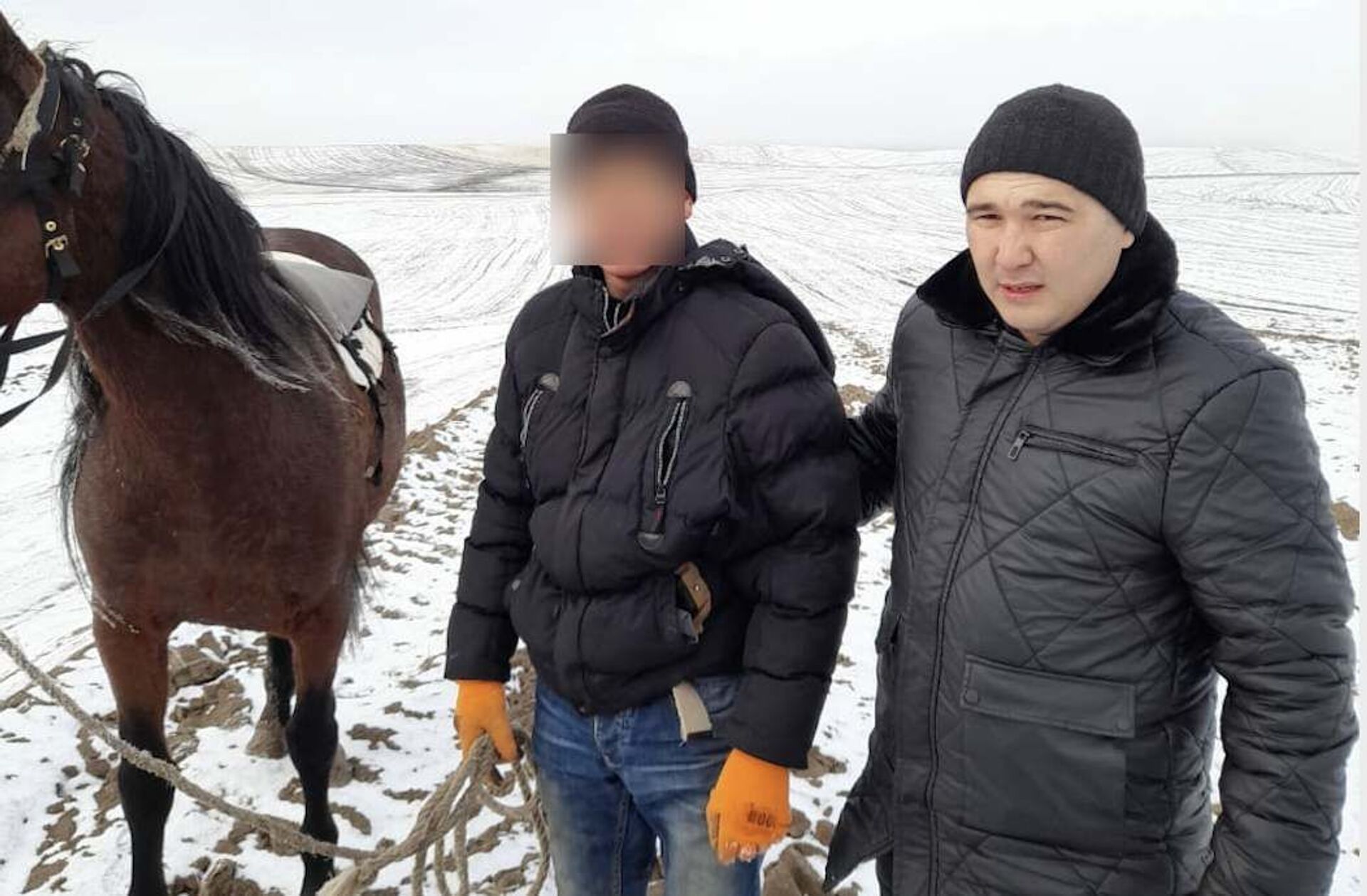 Задержанный похитителем лошади в Алматинской области - Sputnik Казахстан, 1920, 01.02.2022
