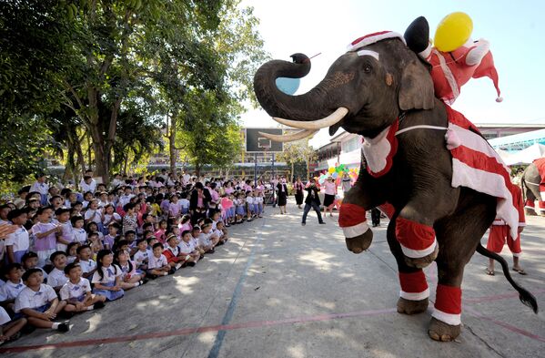 Слон в костюме Санта-Клауса выступает во время празднования Рождества в школе в провинции Аюттхая на севере Бангкока. В жаркой стране традиции белого Рождества выглядят очень причудливо.  - Sputnik Казахстан