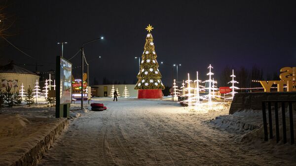 Елки самых разных форм и видов буквально заполонили новогодние городки, разбросанные по всей столице.  - Sputnik Казахстан