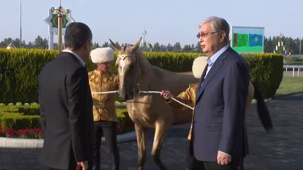 Гурбангулы Бердымухамедов подарил Касым-Жомарту Токаеву ахалтекинскую лошадь - Sputnik Казахстан
