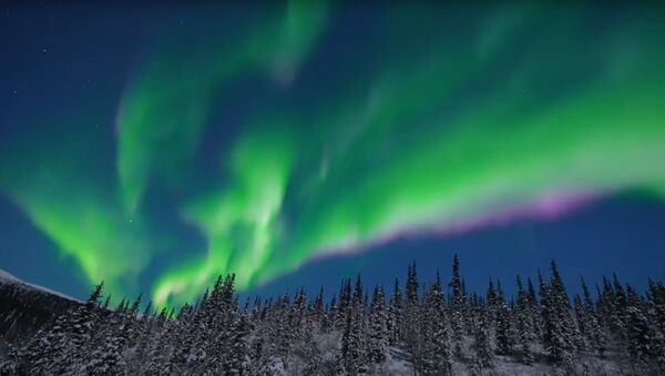 Северное сияние над Аляской - видео - Sputnik Қазақстан