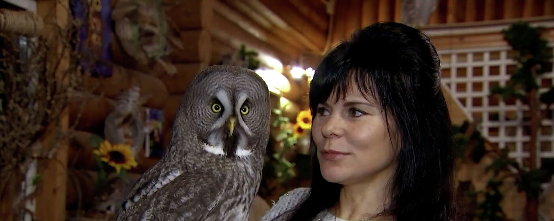 Живые украшения на новогодней елке  - Sputnik Казахстан, 1920, 03.01.2022