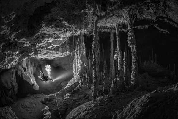 Снимок Древние пещеры Тома Сент-Джорджа. С партнершей по дайвингу он погрузился в пещеру и запечатлел вид, который там открылся. Мне это изображение особенно хорошо подошло в черно-белом варианте с игрой света и тени и невероятными текстурами, - поделился автор. - Sputnik Казахстан