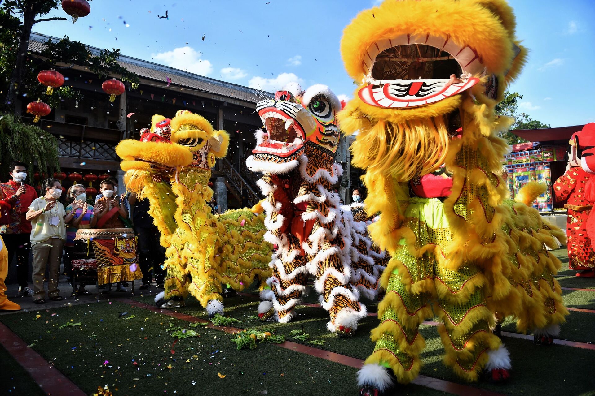 Танцоры в костюмах львов выступают во время празднования приближающегося Лунного Нового года в Бангкоке - Sputnik Казахстан, 1920, 23.02.2023