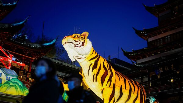 Украшение в форме тигра перед празднованием китайского Лунного Нового года в Шанхае, Китай - Sputnik Казахстан