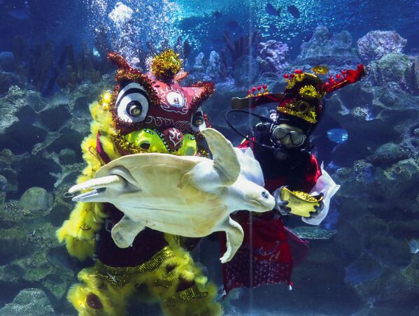  Дайверы в костюмах исполняют подводный танец в преддверии празднования китайского Лунного Нового года в Куала-Лумпуре. - Sputnik Казахстан