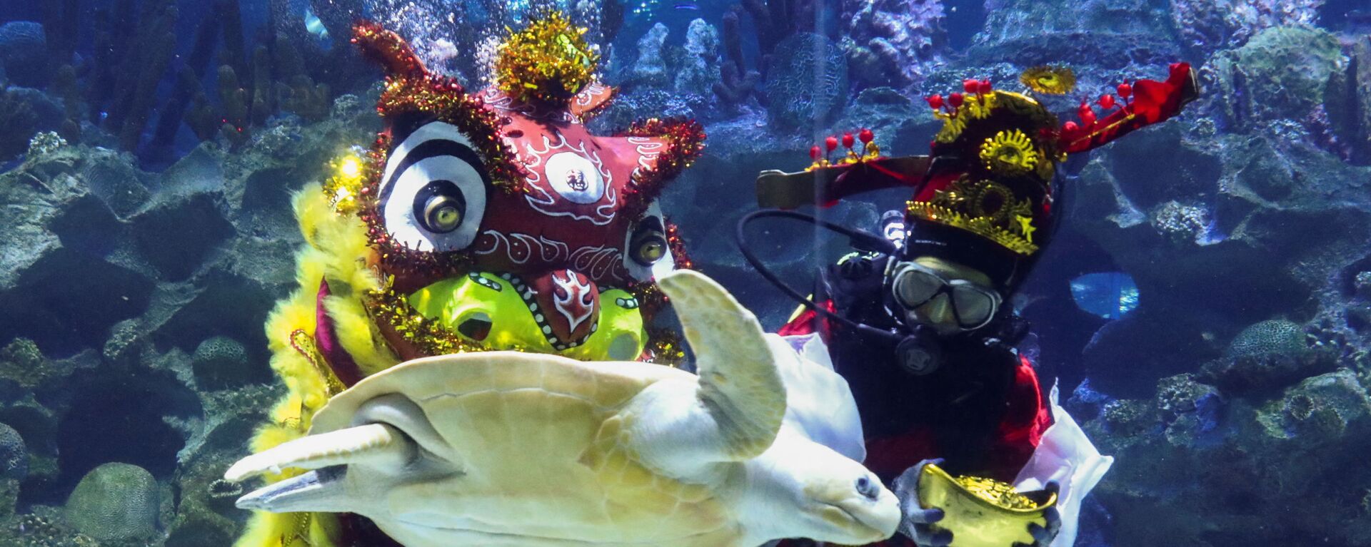  Дайверы в костюмах исполняют подводный танец льва в преддверии празднования китайского Лунного Нового года в Куала-Лумпуре - Sputnik Казахстан, 1920, 30.01.2022