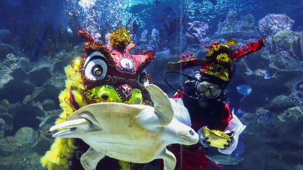  Дайверы в костюмах исполняют подводный танец льва в преддверии празднования китайского Лунного Нового года в Куала-Лумпуре - Sputnik Казахстан