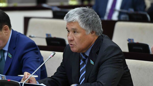 Олигополию и потерю энергии оплачивают казахстанцы: депутат о проблемах энергоснабжения - Sputnik Казахстан