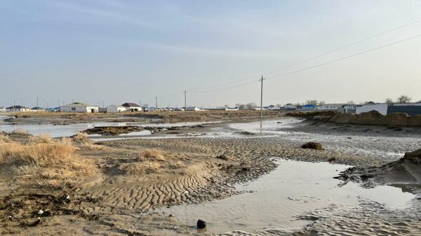 Тихая река превратилась в бурлящий поток и едва не затопила село - видео
 - Sputnik Казахстан