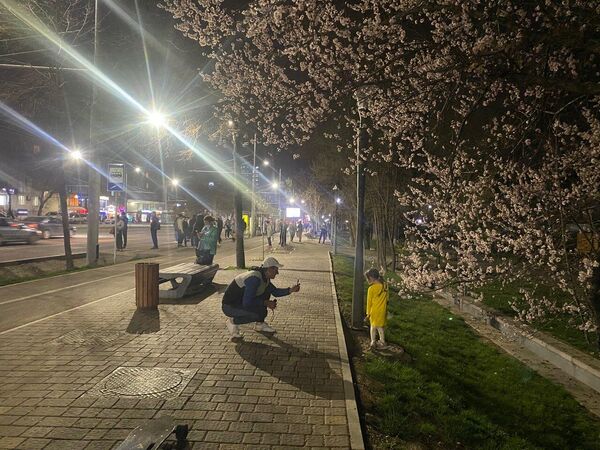 Весна – пришло время делать красивые снимки. Горожане фотографируются на фоне ярких огней ночного города и цветущих деревьев. - Sputnik Казахстан