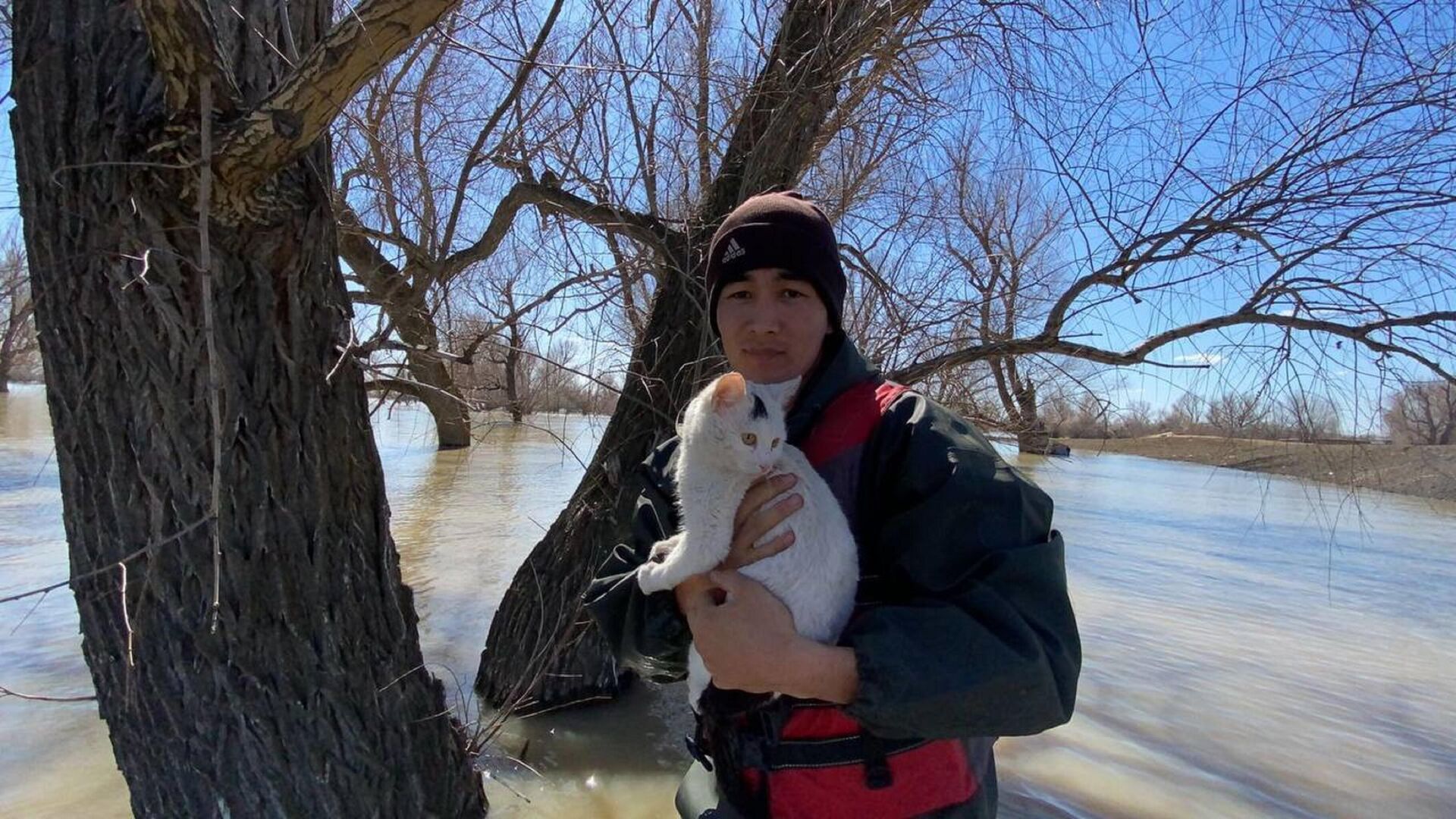 Спасатели сняли кошку с дереве, на котором она просидела несколько дней из-за наводнения в Актюбинской области  - Sputnik Казахстан, 1920, 08.04.2022