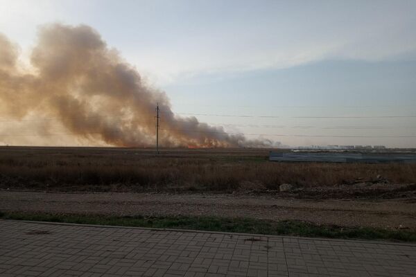 Пожар в степи близ Нур-Султана - Sputnik Казахстан