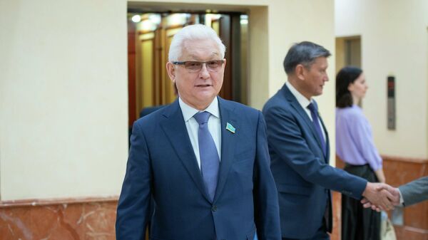 Реформировать нацкомпанию QazaqGaz предложил сенатор Султанов - Sputnik Казахстан