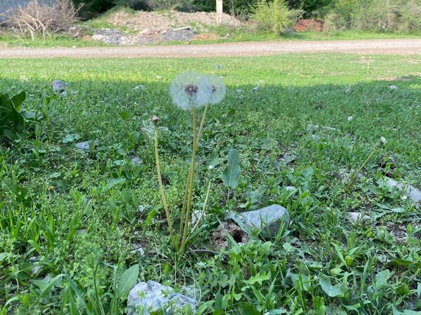 Қара адамның жабайы блять Орыс порно тәжірибесіз свингерлер