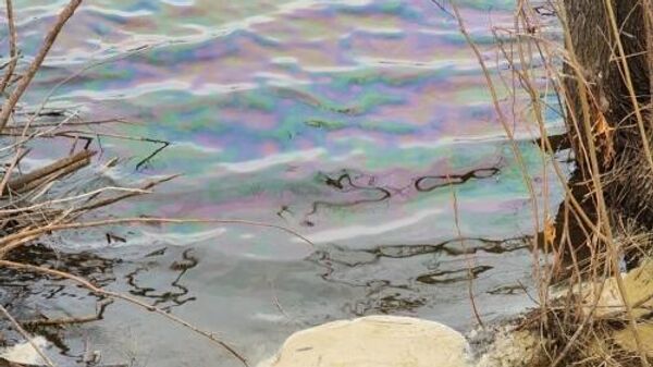 Экоактивисты считают, что в воду попали нефтепродукты - Sputnik Казахстан