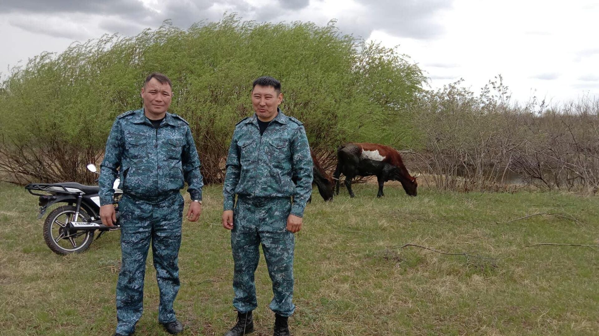 Полицейские, спасшие скот из грязевой ловушки - Sputnik Казахстан, 1920, 11.05.2022