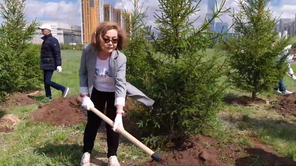 Семейное древо - в натуре: жители столицы приняли участие в акции  - Sputnik Казахстан