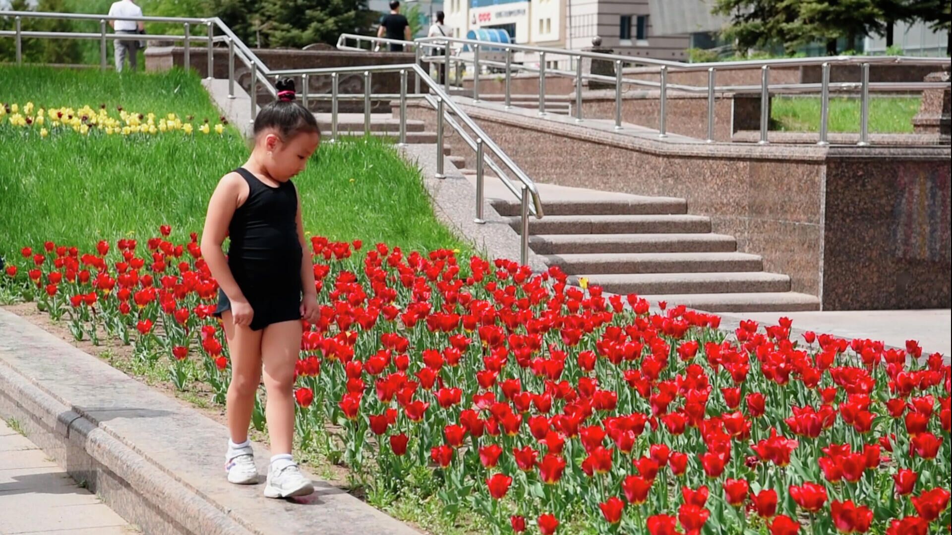 Девочка идет по бордюру клумбы с тюльпанами  - Sputnik Казахстан, 1920, 31.05.2022