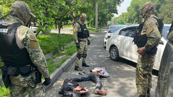 ОПГ воров-гастролеров задержана полицейскими Алматы  - Sputnik Казахстан