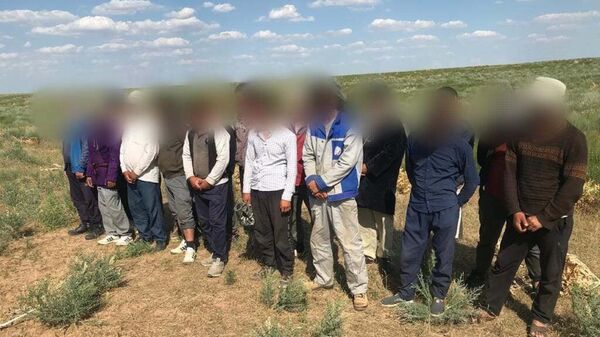 Полицейские обнаружили 23 незаконно работающих граждан Узбекистана, которые занимались добычей сока лекарственной травы - Sputnik Казахстан