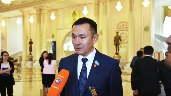 Деньги выделены, но программа провальная — депутат о льготном автокредитовании - Sputnik Казахстан