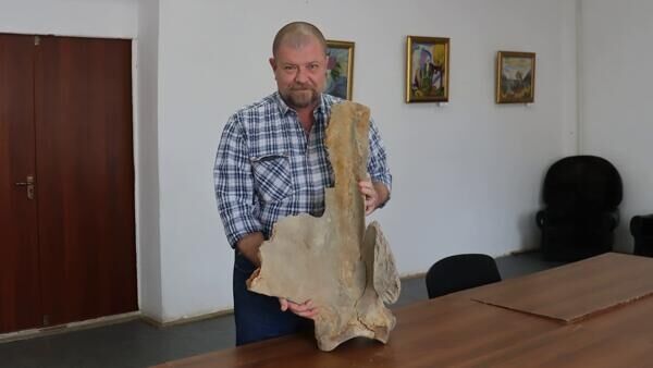 Научный сотрудник краеведческого музея Андрей Андрющенко и найденный фрагмент лопатки мамонта - Sputnik Казахстан