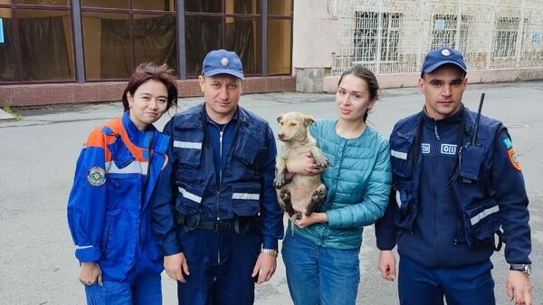 Спасатели вытащили из трубы собаку в Петропавловске - Sputnik Казахстан