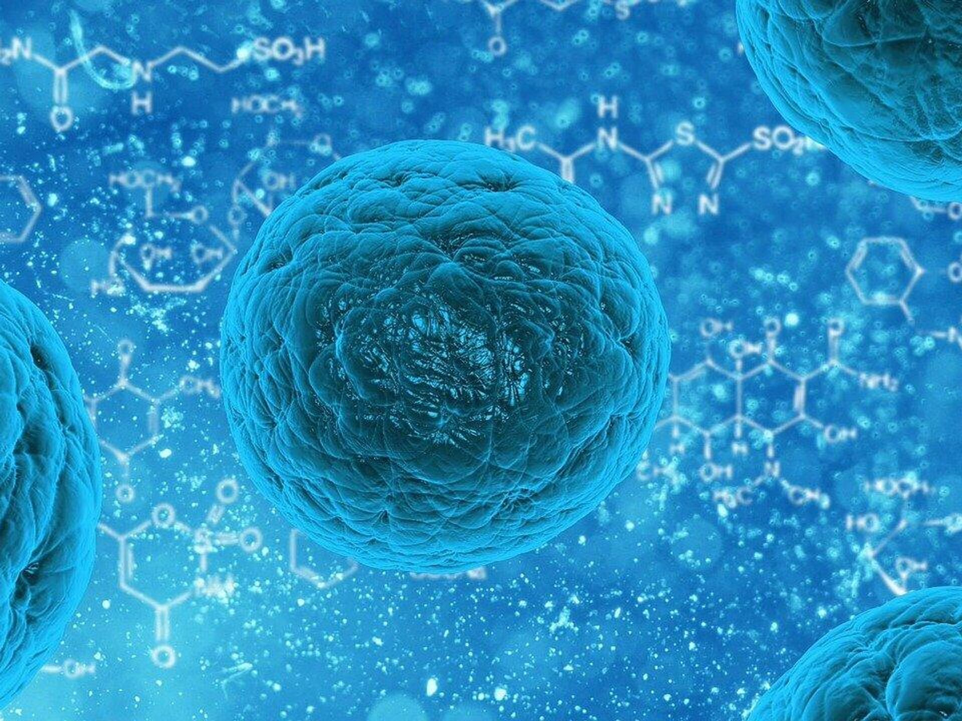 Иммунная система бактерий. Клетка человека. Биологическая клетка. Клетка организма человека. Что такое стволовые клетки в организме.