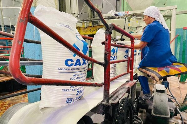 Сахарные заводы в Жамбылской области работают на полную мощность - Sputnik Казахстан