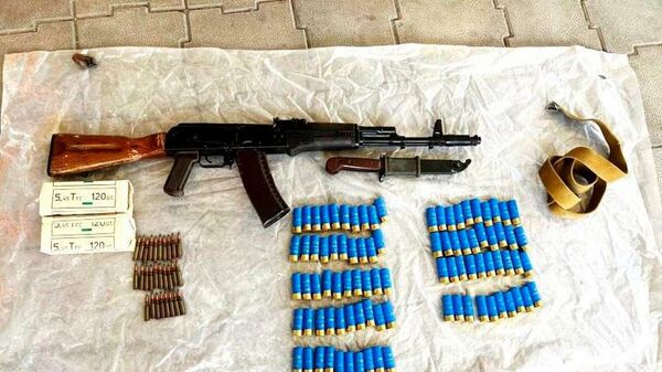 В Алматинской области обнаружены схроныс пистолетом Байкал, 2 ружьями, 10 гранатами, 104 патронами различного калибра - Sputnik Казахстан