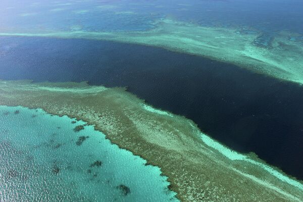 Большой Барьерный риф у побережья островов Уитсанди вдоль центрального побережья Квинсленда. Морской парк Большого Барьерного рифа охватывает около 99 процентов природного чуда, внесенного в список всемирного наследия ЮНЕСКО.  - Sputnik Казахстан
