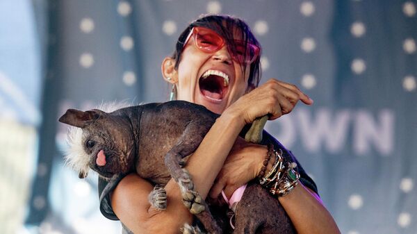 Победитель конкурса Самая уродливая собака в мире пес по кличке Mr. Happy Face с хозяйкой, Петалума, США - Sputnik Казахстан