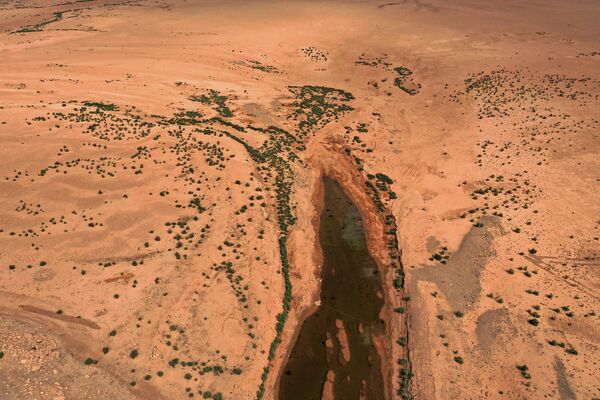 Остатки озера Хамрин в иракской провинции Дияла. - Sputnik Казахстан