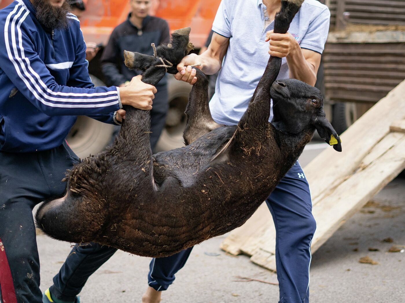 Жалқаулықтан